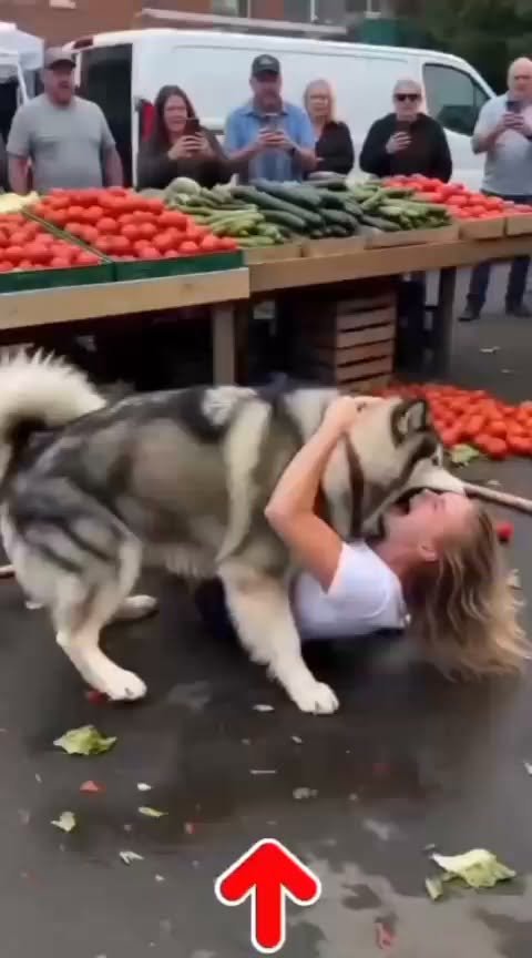 large-dogs-unexpected-reaction-at-busy-market-leaves-everyone-stunned/