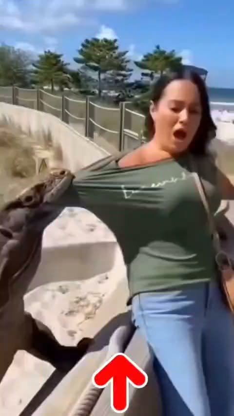 woman-gets-a-fright-when-a-huge-lizard-suddenly-reaches-toward-her