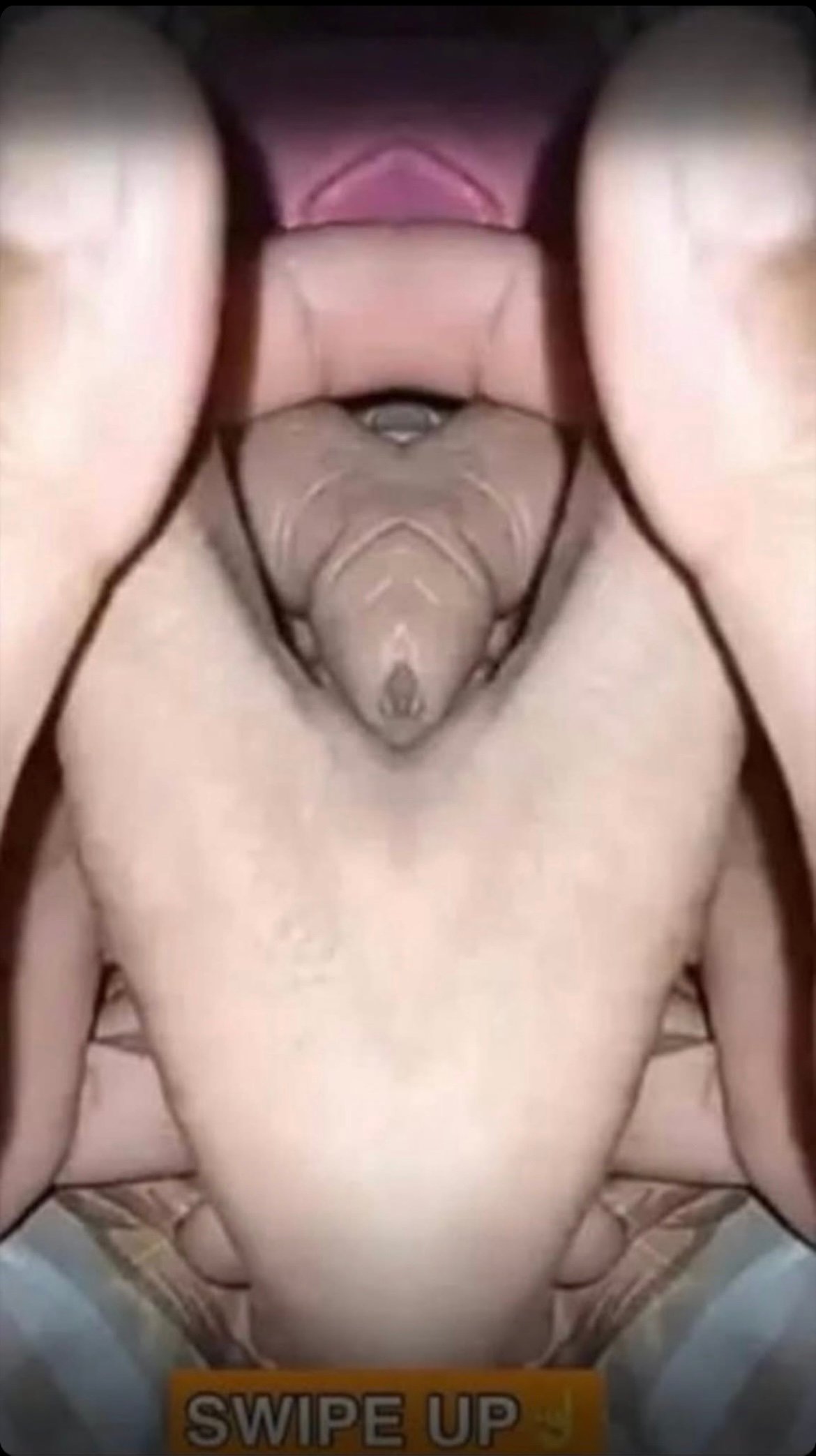 Innocent Photos That Prove How Easily the Mind Can Be Fooled
